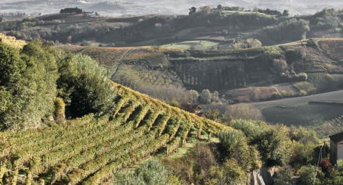 Wijnproeverij 'Leer Italië kennen'