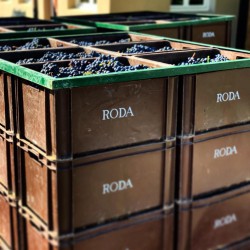 Bodegas Roda | Druiven