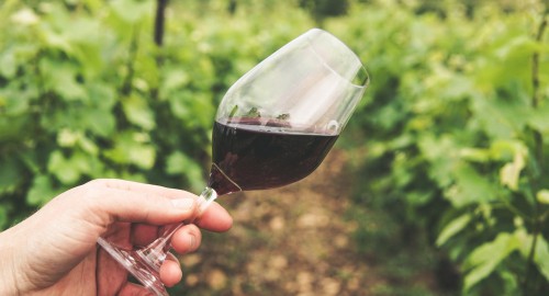 Wat doet sulfiet en tannine met wijn?