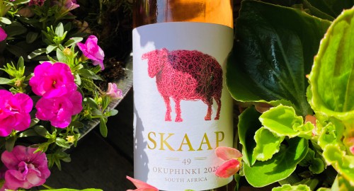 Skaap Okuphinki = Wijn van de Maand