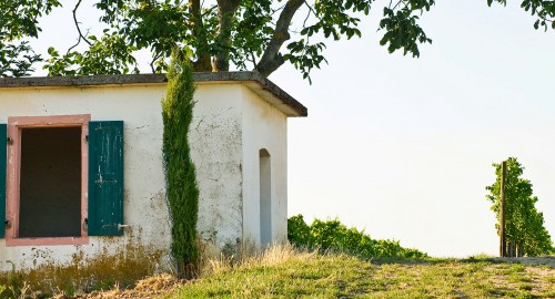 Weingut Geil