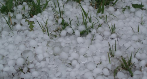 Hagelstorm verwoest oogst Bourgogne