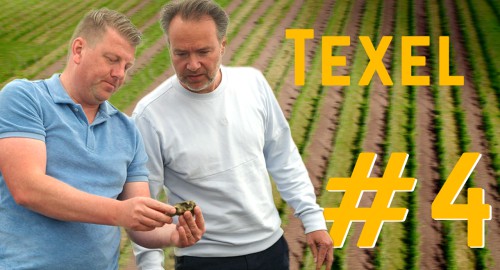 Onze eigen wijngaard in 't Gooi? Aflevering 4/4 | Texel