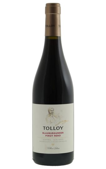 Tolloy Pinot Nero