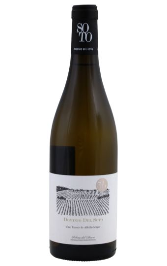 Dominio Del Soto | Vino Blanco