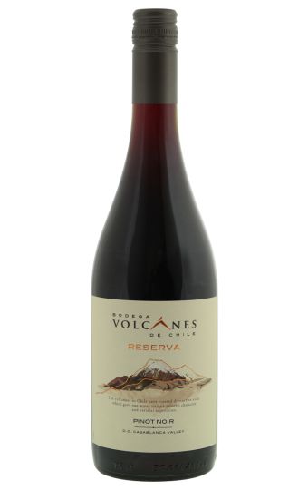Bodega Volcanes | Pinot Noir 2020