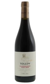 MezzaCorona - Tolloy - Pinot Nero 2018
