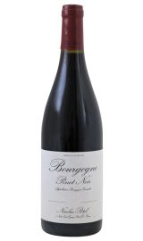 Nicolas Potel - Bourgogne Pinot Noir 2023