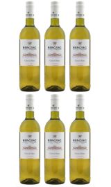 Bergsig Estate - Chenin Blanc | per 6 flessen