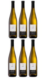 Cantina Merana - Chardonnay 'Festival' | per 6 flessen