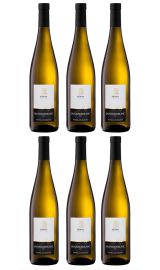 Cantina Merana - Sauvignon Blanc 'Festival' | per 6 flessen