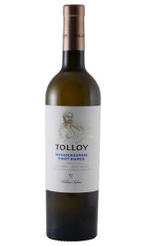 MezzaCorona - Tolloy - Pinot Bianco 2022